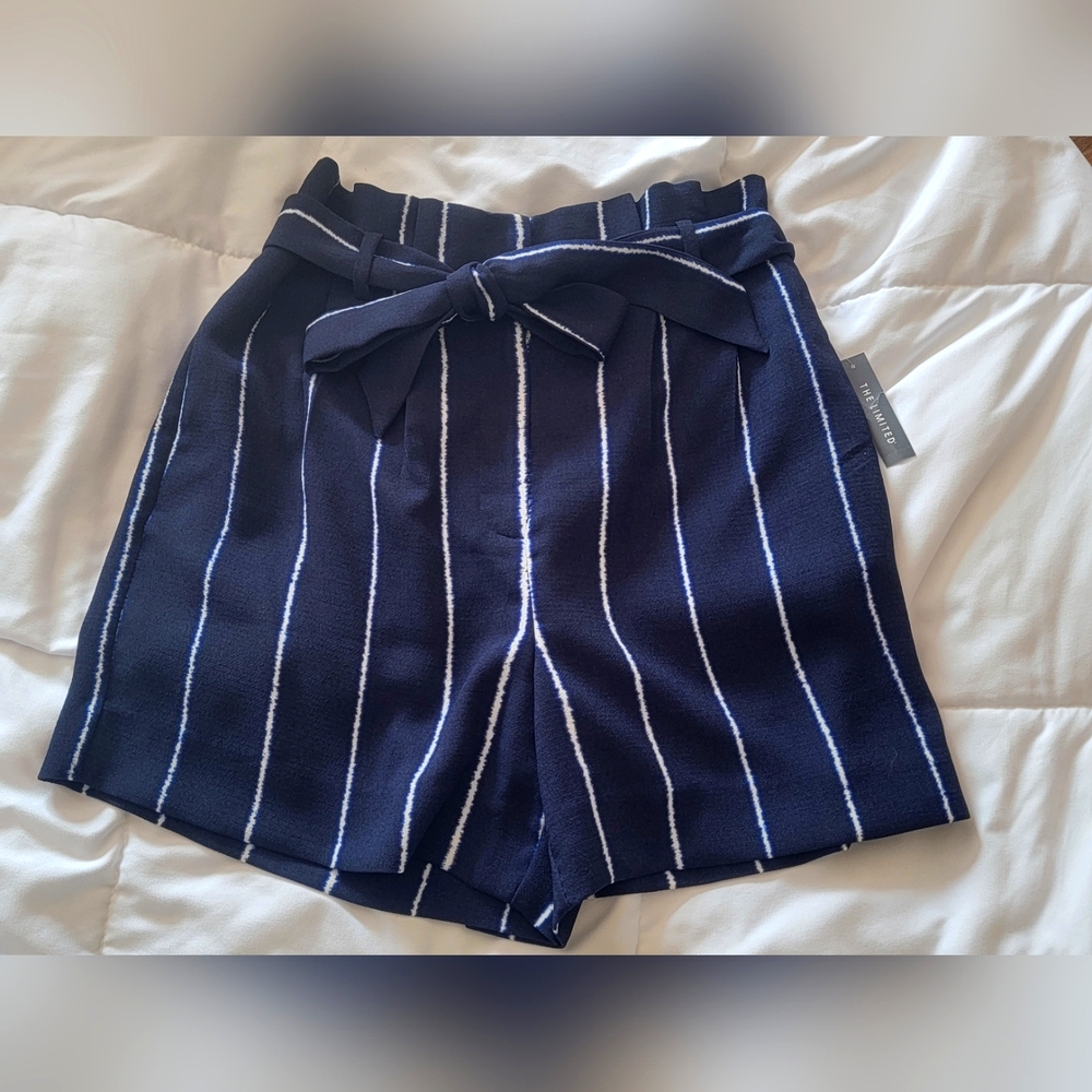 The Limited Dark Blue and White Striped Shorts
